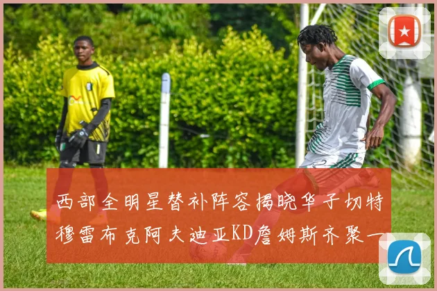 西部全明星替补阵容揭晓华子切特穆雷布克阿夫迪亚KD詹姆斯齐聚一堂