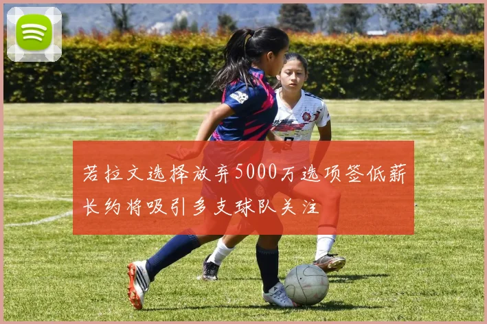 若拉文选择放弃5000万选项签低薪长约将吸引多支球队关注